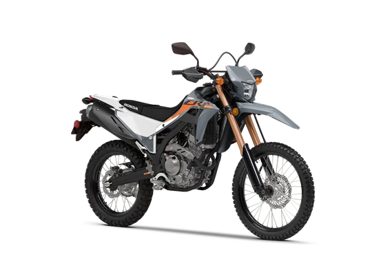CRF300L SWIFT GRAY